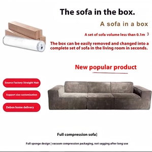 Retro Vải Nhung Vải Tinh Khiết Miếng Bọt Biển Không Có Khung Cuộn-Gói Thiết Kế Phòng Khách Ghế Sofa Chân Không Nén Đậu Phụ Khối Sofa Bán Chạy Nhất - Product Image 5