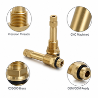 Pièces tournées de précision CNC pour tiges de soupape en acier inoxydable et laiton, placage nickel-étain, conformes RoHS, pour applications de plomberie et d'électricité