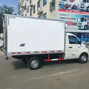 2 tons LHD/RHD japonya satış et kanca buzdolabı kamyon için kullanılır