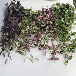 B-486 Feuilles de soie de haute qualité, plantes à feuilles persistantes, décoration esthétique de la pièce, feuilles de vigne, plantes artificielles, fausse plante grimpante - Product Image 6