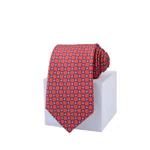 2024 עיצוב אופנה יוקרה לגברים עניבת צוואר 100% משי מודפסת בדוגמת משי עסקית עניבות צוואר עם לוגו מותאם אישית