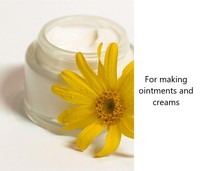 4105 Shan Jin Che Hua Factory Supply 100g Fleurs d'Arnica Montana séchées naturelles, thé santé brut en vrac, boîte