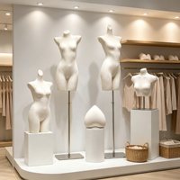 Mannequin buste femme en tissu suédé sans tête, support métallique réglable en hauteur, pour présentation de lingerie, sous-vêtements et robes, idéal pour boutique