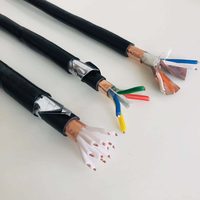 Câble de commande en cuivre isolé et gainé en PVC avec blindage en feuille de cuivre KVVP2