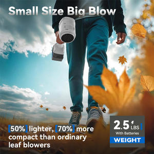 Soprador Portátil Sem Fio de Bateria de Íon de Lítio para Cuidados com Folhas e Gramados, Limpeza de Pátios - Product Image 2