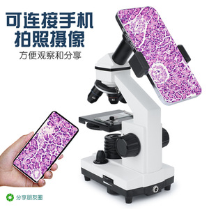 Microscopio Monoculare per Bambini 100-2000X, per Esperimenti Scientifici e Osservazione di <span class=keywords><strong>Flora</strong></span> e <span class=keywords><strong>Fauna</strong></span>, Microscopio ad Alta Definizione - Product Image 4