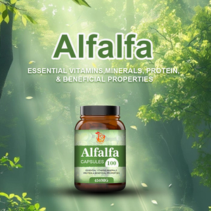 Cápsulas de Alfalfa de Marca Privada OEM para el Bienestar General, Mejora del Sistema Inmunológico, Suplemento de Vitaminas y Minerales - Product Image 5