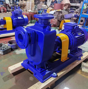Pompe centrifuge horizontale auto-amorçante Zx DN50 pour drainage municipal, eau propre, conversion de fréquence, OEM, fonte/inox - Product Image 3