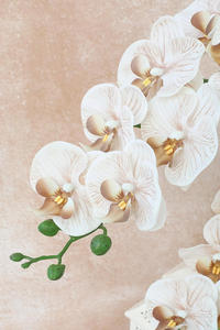 Orquídea Artificial de Alta Calidad con 8 Cabezas, Tacto Realista, Látex Blanco, Decoración de Lujo para Bodas - Product Image 4