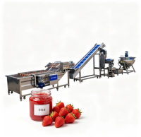 Automatische productielijn voor aardbeienjam en kleine productielijn voor dadelpasta