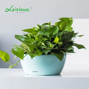 Pot de fleurs décoratif en plastique auto-arrosant en forme de bol pour plantes succulentes et herbes, idéal pour le jardin et la vente en gros - Product Image 5