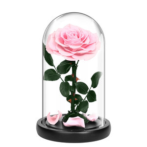 Vendita all'ingrosso regalo di lusso Junio personalizzazione regalo di natale che dà conservato la rosa nella bellezza di vetro e la bestia - Product Image 3