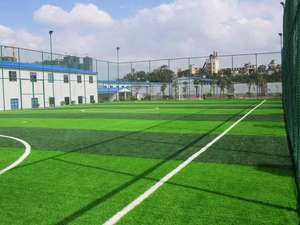 Césped Artificial profesional, césped Artificial, semillas, pista de tenis, fútbol, suelo deportivo - Product Image 4