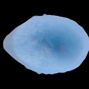 Fantasy Tentacle Luminous Blue Soft Silicone G-spot Anal <b>Dildo</b> with Strong Suction Cup Adult Sex Toys for Women Men Gay Couples - Product Image 5