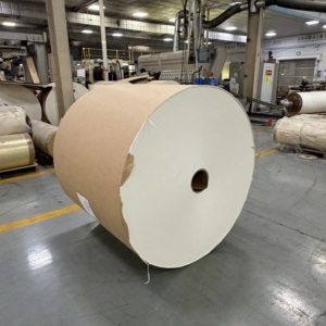 Rouleau de papier PE haute densité enduit, qualité alimentaire, pâte vierge, résistant à l'huile, taille personnalisée, matière première pour la production de gobelets en papier, directement de l'usine - Product Image 1