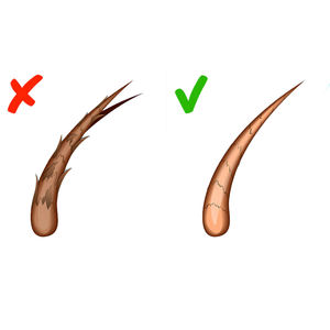 เซรั่มสำหรับแยกปลาย70มล. เมจิกให้ความชุ่มชื้นช่วยให้รากผมแข็งแรงขึ้น - Product Image 5