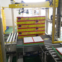 Palettiseur automatique de boîtes en carton, machine de palettisation de déchets plastiques, de thon, de confiture de tomates