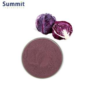 Grosir penjualan terbesar 100% bubuk jus kubis ungu murni - Product Image 2