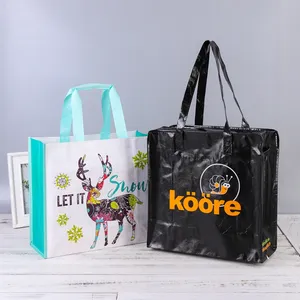 New Arrival Eco-friendly Custom Size Woven Shopping Bags Full Color Logo Printed Laminated Woven Bag
