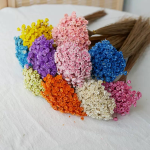 Fleurs séchées brésiliennes naturelles pas chères, mini marguerites séchées pour la fête des mères, la Saint-Valentin, Noël, préservation - Product Image 3