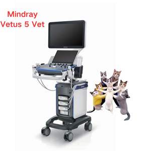 Mingray Vetus 5 troli, sistem <span class=keywords><strong>Ultrasound</strong></span> diagnostik 3D <span class=keywords><strong>4D</strong></span> Vetus 5exp warna Vet Doppler <span class=keywords><strong>Ultrasound</strong></span> dengan troli - Product Image 5