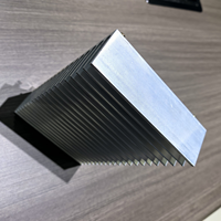 Radiateur d'extrusion en aluminium anodisé pour onduleur d'ascenseur, refroidissement efficace, design moderne pour le contrôle électrique des ascenseurs