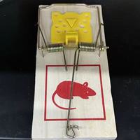 Piège à ressort en bois écologique et sans cruauté pour la lutte contre les souris et les rats, utilisation agricole, portable
