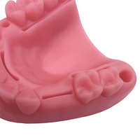 YOUYA DENTAL Juego de 4 Piezas, Modelo de Simulación Dental para Sutura Oral, Equipo de Enseñanza y Entrenamiento de Sutura de Encías
