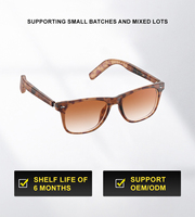 Gafas Inteligentes con IA, Resistentes al Agua IP67, Asistente de Voz, Traducción en Tiempo Real, Llamadas Telefónicas, Reproductor de Música, Control por Gestos