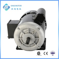 Motor Pertanian NEMA 2 Kutub 1/4HP 56 Frame Motor Induksi Fasa Tunggal 60Hz IP55 100% Kawat Tembaga Torsi Tinggi Efisiensi IE2