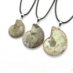 Collier en pierre naturelle d'ammonithe et de fossile, colliers avec pendentifs en pierre de cristal d'escargot véritable pour bijoux de 3CM - Product Image 1