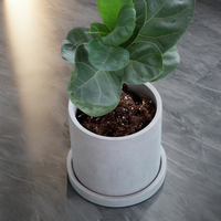 Jardinière cylindrique ronde en ciment simple personnalisée avec plateau pour pot de plantes de jardin décoratif intérieur et extérieur
