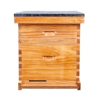 Nouvelle ruche Langstroth en bois de pin, super profonde, pour apiculture, à bas prix, ruches en bois