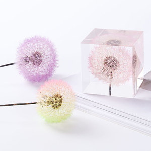 Diente de león de flores secas para manualidades, <span class=keywords><strong>2022</strong></span>, venta al por mayor, 4 cm - Product Image 4