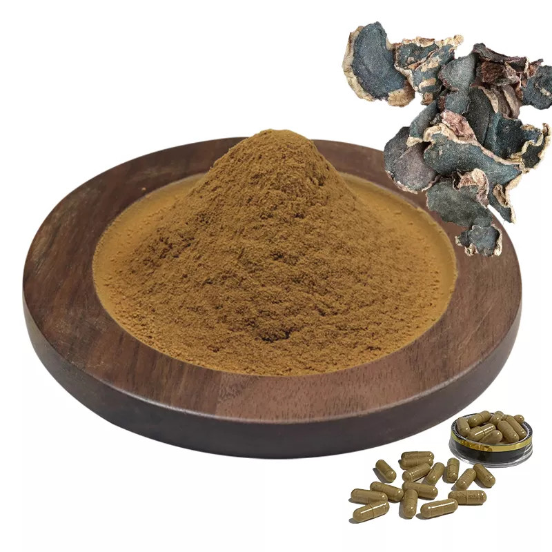 Порошок черного имбиря, поставка с завода, 100% чистый Сушеный органический экстракт Черного имбиря