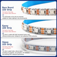 Bande LED RGB WS2812B/SK6812 5V basse tension, contrôle par pixel unique, étanche IP20/65/67/68 pour effets lumineux dynamiques