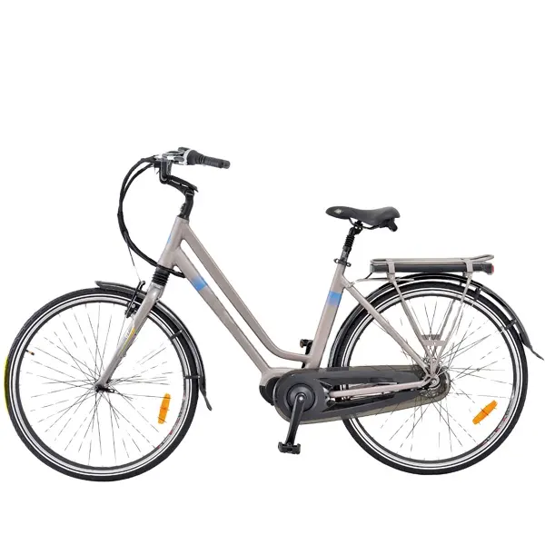 2024 Nuevo Modelo 800W 36V12Ah fibra de carbono para hombre bicicleta de montaña eléctrica ligera 20kg