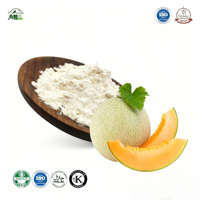 Poudre de jus de melon cantaloup de haute qualité