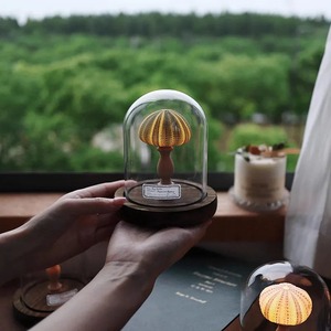<b>Shell</b> Sea Urchin Lamp Study Desk Decoration Ornament Indoor Room Bedside Night <b>Light</b> Handmade Diy Material Package Holiday Gift - Product Image 4