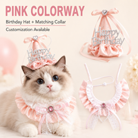 Ensemble chapeau et collier à volants pour fête d'anniversaire d'animaux de compagnie avec décoration en dentelle et nœud