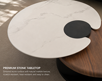 Table basse moderne de luxe en pierre frittée avec plateau en bois et base ronde en métal, fabricant de meubles sur mesure pour salon
