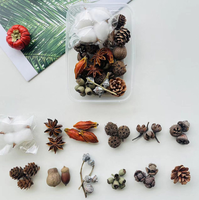 Kit de fleurs séchées DIY pour Noël, cône de pin naturel, bâton de cannelle, tranche d'orange séchée, fournitures artisanales botaniques