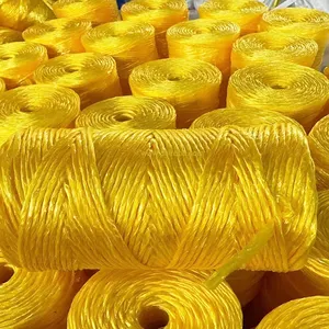 厂家价格150克/卷塑料草绳绳干草打捆聚丙烯麻线来自制造商PE捆扎带包装拉菲草绳