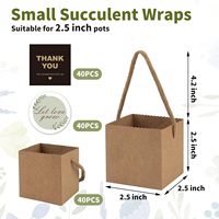 Boîtes cadeaux carrées personnalisées en papier kraft avec poignée en corde de coton pour plantes succulentes, cadeaux de mariage, emballages de remerciement, vente en gros