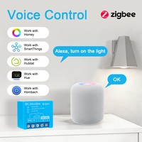 Interrupteur relais intelligent Bilihondim, commande numérique 200W avec contacts secs, Zigbee 1 canal, compatible avec SmartThings
