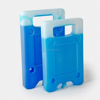 CSI Glacière en HDPE de haute qualité pour la livraison ou le stockage d'aliments frais, bloc de glace, brique réfrigérante