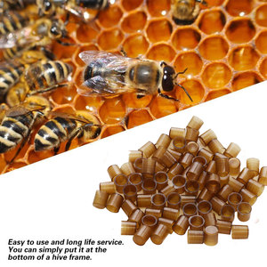 500 pièces cellules de <span class=keywords><strong>reine</strong></span> de l'<span class=keywords><strong>apiculture</strong></span> <span class=keywords><strong>reine</strong></span> des abeilles brunes cultive des outils exclusifs applicables aux apiculteurs - Product Image 2