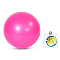 Ballon de yoga et de Pilates, 4 tailles (55 cm, 65 cm, 75 cm, 85 cm), en PVC anti-éclatement, antidérapant, extra épais et durable, incl. Exercices