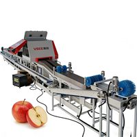 Commerciële fruit sorteermachine voor appels, sinaasappels en kiwi's