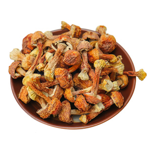 Alta calidad <span class=keywords><strong>tricholoma</strong></span> <span class=keywords><strong>matsutake</strong></span> liofilizado <span class=keywords><strong>matsutake</strong></span> - Product Image 2